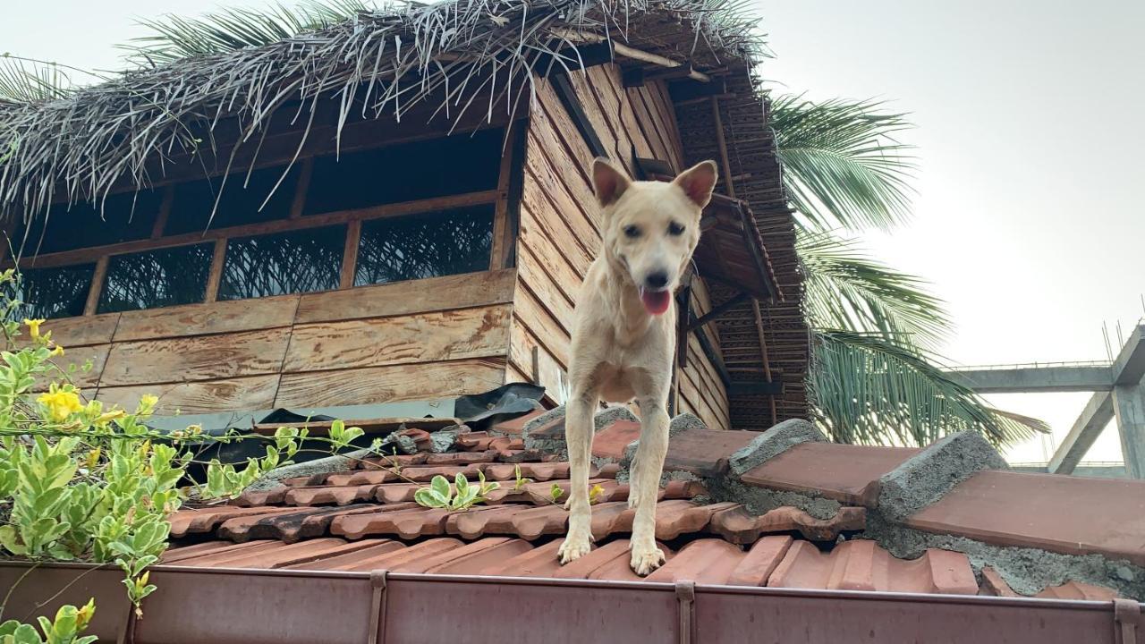 Wanderers Hostel Trincomalee Exterior foto